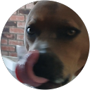 Cb